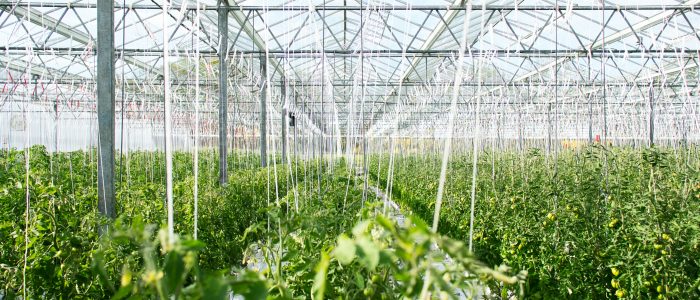 ©Unsplash/erwanhesry