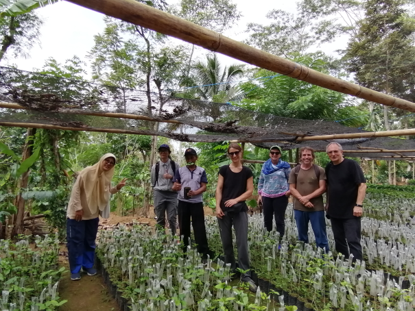 Coffee nursery and crafting as alternative income to increase coffee yields in the region, and implement more cash crops for production in agroforestry systems.