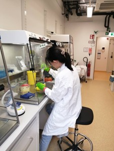 Dr. Loi Jia Xing performing a qPCR experiment 