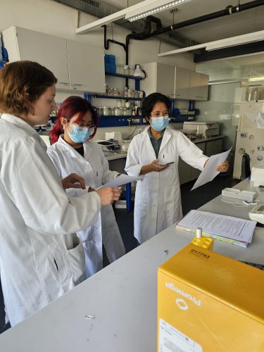 Maria Schabhüttl, Dolly Manic, Irene Rodriguez at IMBT Graz: Preparation for DNA extraction and culture inoculation for protein induction